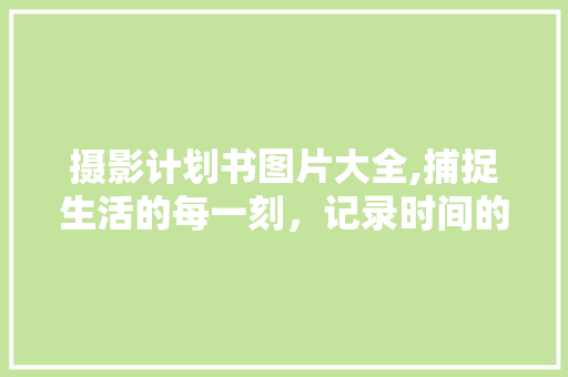 摄影计划书图片大全,捕捉生活的每一刻，记录时间的印记