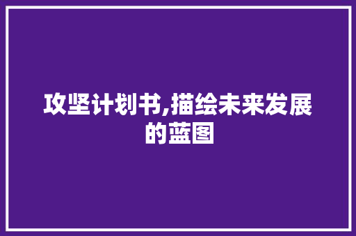 攻坚计划书,描绘未来发展的蓝图
