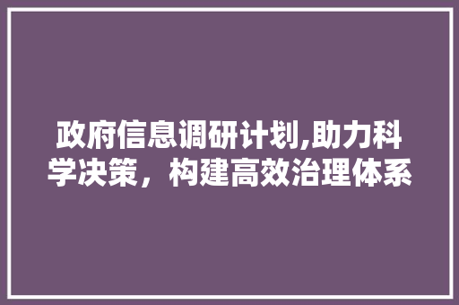 政府信息调研计划,助力科学决策，构建高效治理体系