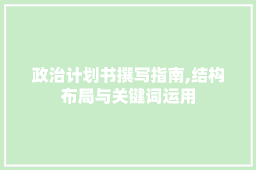 政治计划书撰写指南,结构布局与关键词运用