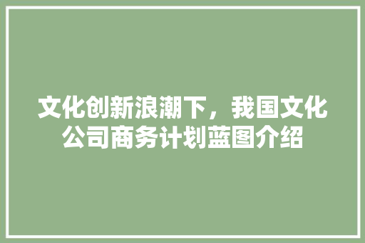 文化创新浪潮下，我国文化公司商务计划蓝图介绍