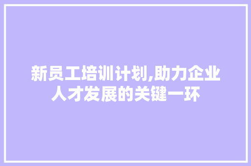新员工培训计划,助力企业人才发展的关键一环