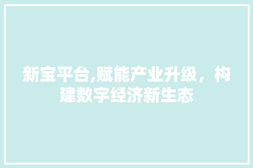 新宝平台,赋能产业升级，构建数字经济新生态
