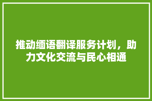 推动缅语翻译服务计划，助力文化交流与民心相通