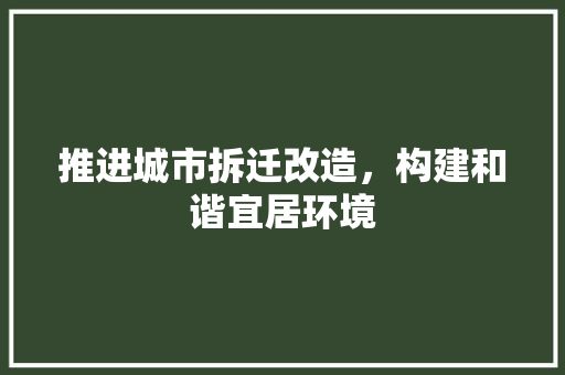 推进城市拆迁改造，构建和谐宜居环境 工作报告