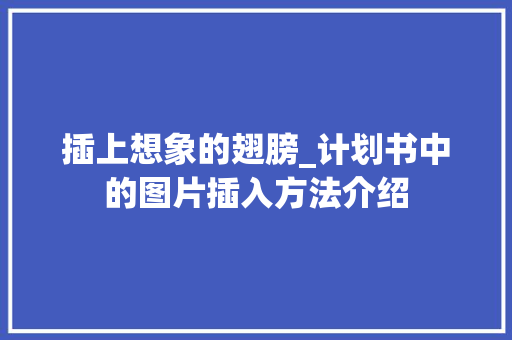 插上想象的翅膀_计划书中的图片插入方法介绍