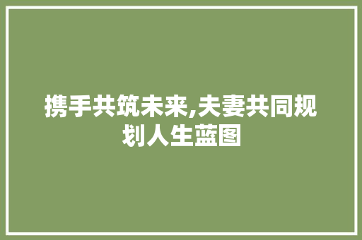 携手共筑未来,夫妻共同规划人生蓝图