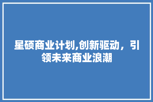 星硕商业计划,创新驱动，引领未来商业浪潮 工作总结