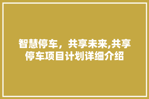 智慧停车，共享未来,共享停车项目计划详细介绍