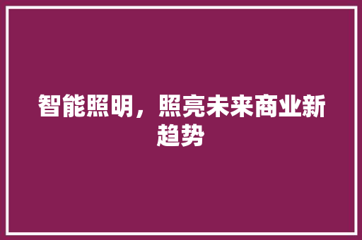 智能照明，照亮未来商业新趋势 工作总结