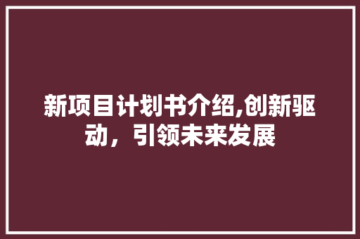 新项目计划书介绍,创新驱动，引领未来发展