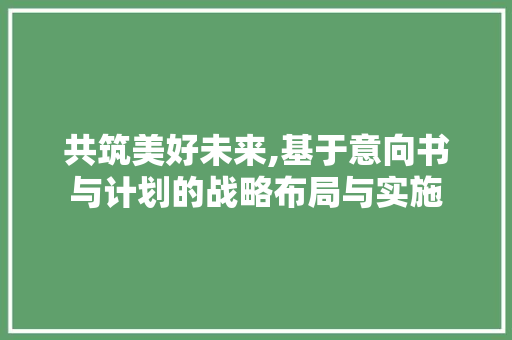 共筑美好未来,基于意向书与计划的战略布局与实施