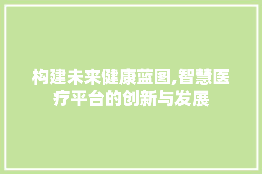 构建未来健康蓝图,智慧医疗平台的创新与发展