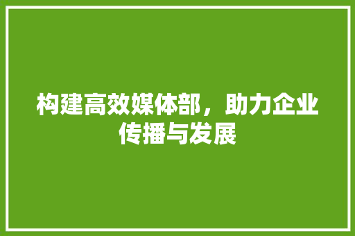 构建高效媒体部，助力企业传播与发展