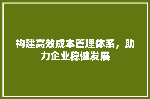 构建高效成本管理体系，助力企业稳健发展