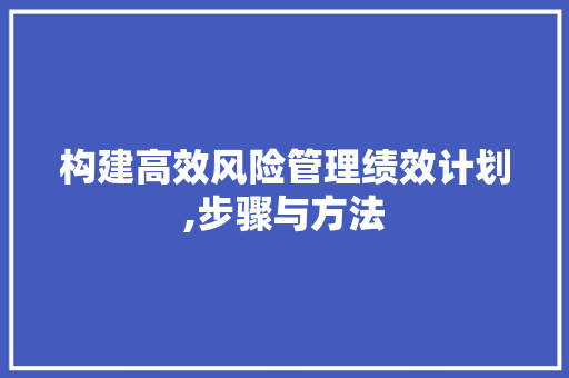 构建高效风险管理绩效计划,步骤与方法