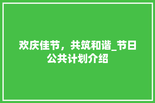 欢庆佳节，共筑和谐_节日公共计划介绍