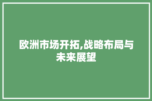 欧洲市场开拓,战略布局与未来展望