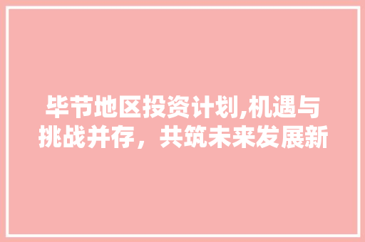毕节地区投资计划,机遇与挑战并存，共筑未来发展新蓝图
