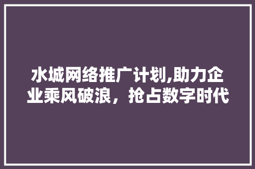 水城网络推广计划,助力企业乘风破浪，抢占数字时代先机