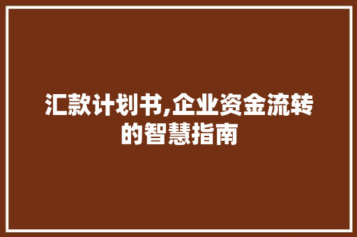 汇款计划书,企业资金流转的智慧指南