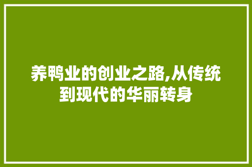 养鸭业的创业之路,从传统到现代的华丽转身