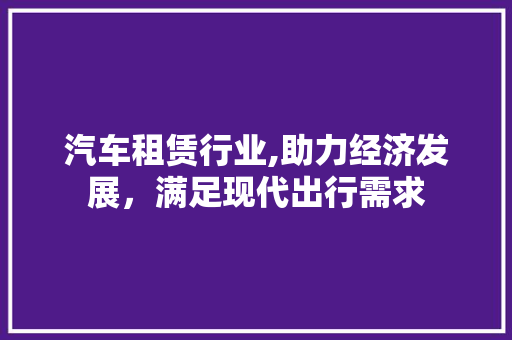 汽车租赁行业,助力经济发展，满足现代出行需求