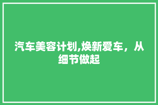 汽车美容计划,焕新爱车，从细节做起