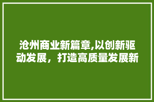 沧州商业新篇章,以创新驱动发展，打造高质量发展新引擎
