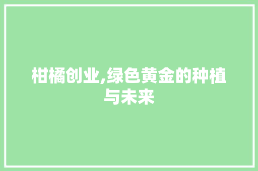 柑橘创业,绿色黄金的种植与未来