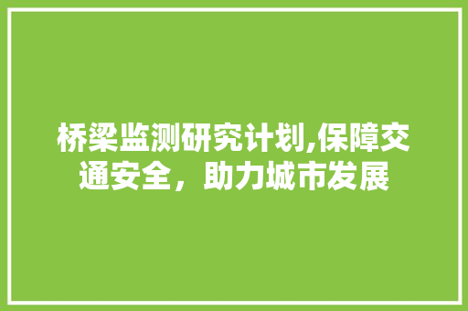 桥梁监测研究计划,保障交通安全，助力城市发展