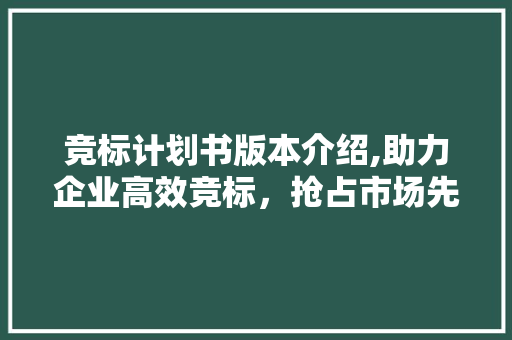 竞标计划书版本介绍,助力企业高效竞标，抢占市场先机