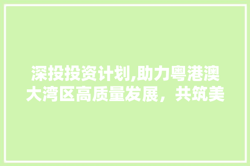 深投投资计划,助力粤港澳大湾区高质量发展，共筑美好未来