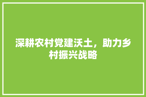 深耕农村党建沃土，助力乡村振兴战略