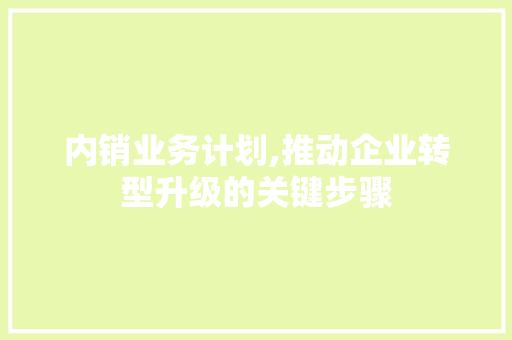 内销业务计划,推动企业转型升级的关键步骤 特写稿