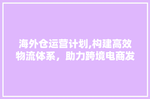 海外仓运营计划,构建高效物流体系，助力跨境电商发展