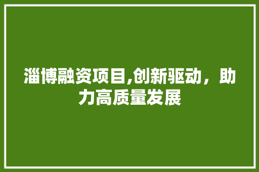 淄博融资项目,创新驱动，助力高质量发展