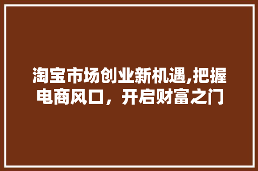 淘宝市场创业新机遇,把握电商风口，开启财富之门