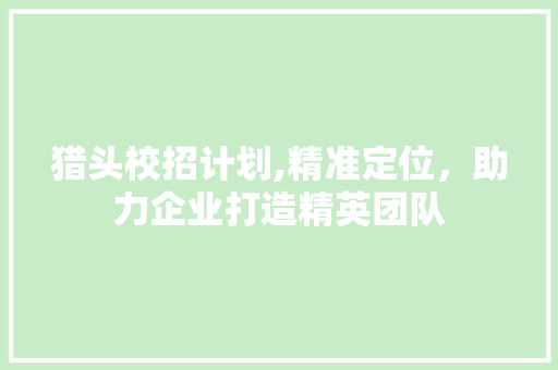 猎头校招计划,精准定位，助力企业打造精英团队
