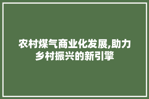 农村煤气商业化发展,助力乡村振兴的新引擎