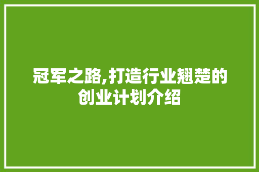 冠军之路,打造行业翘楚的创业计划介绍
