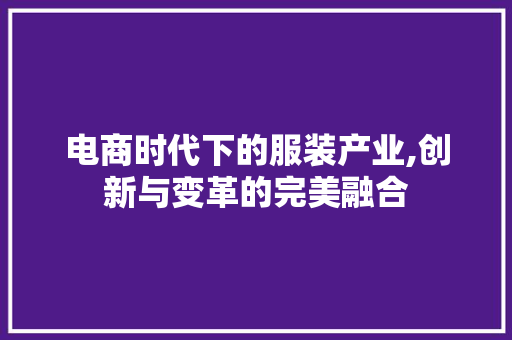 电商时代下的服装产业,创新与变革的完美融合 商业文稿