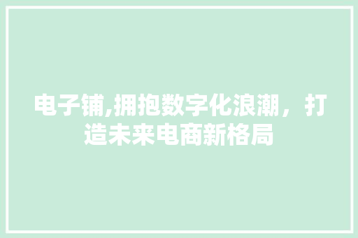 电子铺,拥抱数字化浪潮，打造未来电商新格局