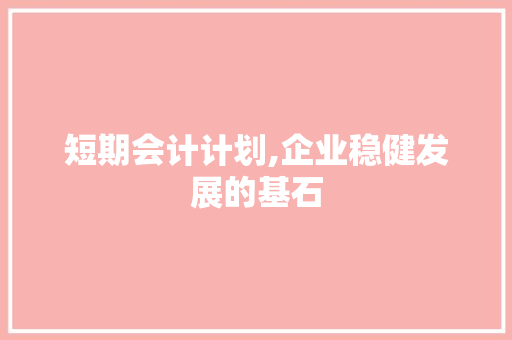 短期会计计划,企业稳健发展的基石