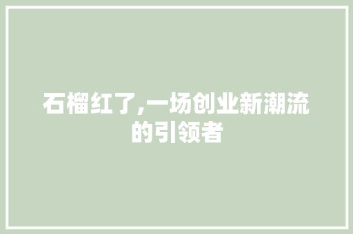 石榴红了,一场创业新潮流的引领者