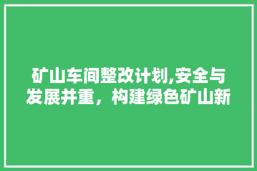 矿山车间整改计划,安全与发展并重，构建绿色矿山新篇章