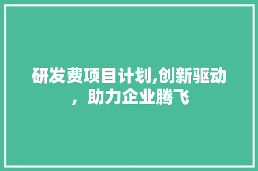 研发费项目计划,创新驱动，助力企业腾飞