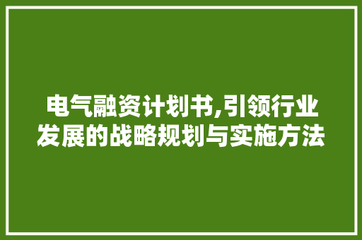 电气融资计划书,引领行业发展的战略规划与实施方法