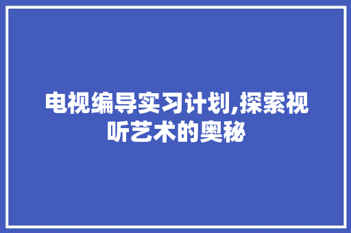 电视编导实习计划,探索视听艺术的奥秘
