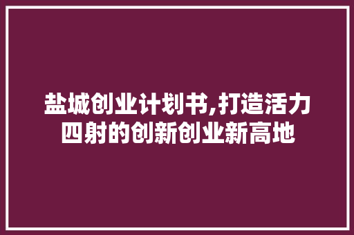 盐城创业计划书,打造活力四射的创新创业新高地